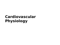 Cardiovascular Physiology (1).ppt